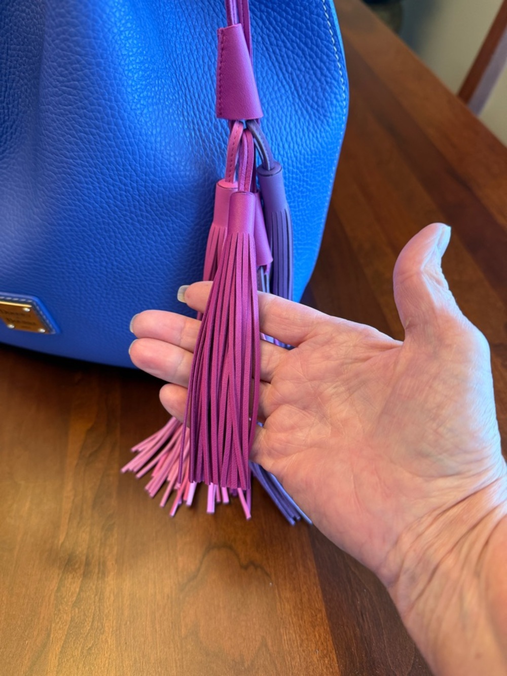 NWOT Dooney & Bourke Lucca Leather Drawstring Bag with Multi-Color Tassels - Picture 10 of 16